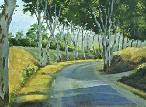 Salvatore Murdocca Plane Trees