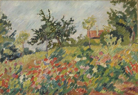 Flower Field