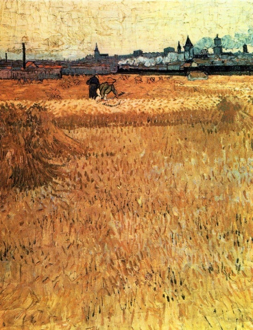 Campos de trigo com vista para Arles