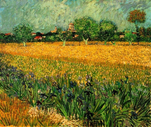 Veduta di Arles con Iris in primo piano