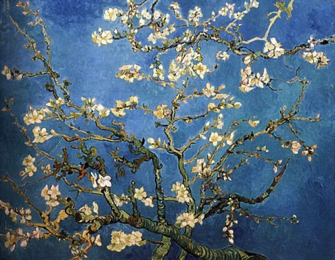 Fiori di mandorlo - Blu scuro