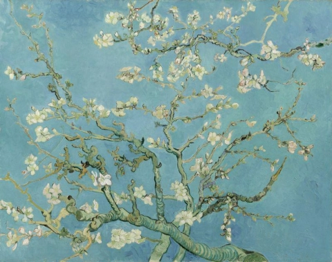 Almond Tree In Bloom - alkuperäinen