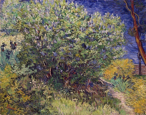 Lilac Bush 1889